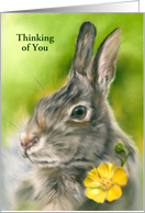 Custom Thinking of You Bunny Rabbit Yellow Buttercup Flower Pastel card