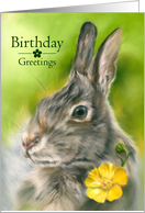 Birthday Greetings Bunny Rabbit Buttercup Flower Pastel Art card