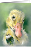 Any Occasion Yellow Gosling Chick Dandelion Pastel Art Blank card