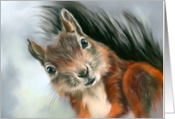 Any Occasion Cute Red Squirrel Pastel Animal Art Blank card