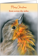 Custom Christmas from Across the Miles European Robin Redbreast Bird card