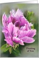Custom Thinking of You Pink Peony Flower Pastel Art card