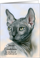 Personalized Condolences Loss of Pet Sphynx Cat Gray Feline Portrait card