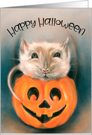 Happy Halloween Cute Rat in Pumpkin Bucket Animal Art card