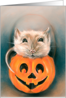 Any Occasion Cute Rat in Halloween Pumpkin Bucket Animal Art Blank card