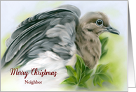 Merry Christmas Neighbor Mourning Dove with Ivy Custom card