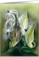 Any Occasion Autumn Milkweed Seedpods Pastel Art Blank card