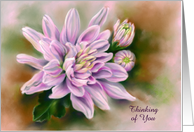 Thinking of You Pink Chrysanthemums Flower Pastel Art Custom card