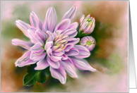 Any Occasion Pink Chrysanthemums Flower Pastel Art Blank card
