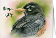 Happy Easter American Robin Spring Bird Pastel Art card