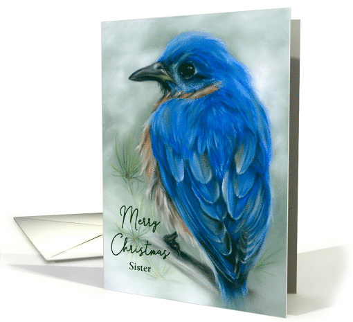 Christmas for Sister Eastern Bluebird with Pine Pastel... (1708868)