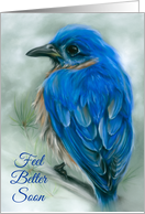 Feel Better Soon Eastern Bluebird with Pine Pastel Bird Art card