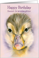 Birthday Granddaughter Sweet Yellow Duckling Pastel Art Custom card