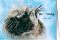 Grandson Birthday Cute Fluffy Guinea Pig Custom Relative card