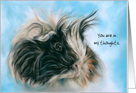 Thinking of You Custom Cute Fluffy Guinea Pig Animal Art card