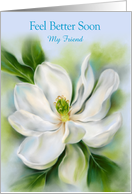 Feel Better Soon Friend Sweet Bay Magnolia White Flower Art Custom card