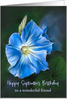 September Birthday Morning Glory Pastel Flower Art Personalized Friend card