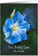 Feel Better Soon Friend Blue Morning Glory Flower Art Personalized card
