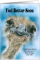 Feel Better Soon Ostrich Curious Bird Art Custom card