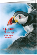 Christmas Greetings Across the Miles Puffin in Flight Bird Art Custom card