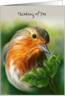 Thinking of You European Robin Bird Green Ivy Pastel Art Custom card