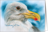 Thinking of You Seagull Sky Bird Pastel Art Personalized card