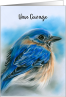 Encouragement Bluebird in Winter Soft Pastel Bird Art card