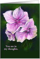 Thinking of You Pink Hydrangea Flowers Pastel Floral Custom card