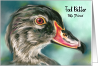 Feel Better Friend Wood Duck Bird Wildlife Art Personalized card