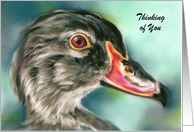 Thinking of You Wood Duck Bird Wildlife Art Personalized card