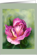 Any Occasion Rose Colorful Floral Pastel Art Blank card