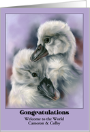 Congratulations Custom Name Twins Sweet Cygnets on Purple Baby Birds card