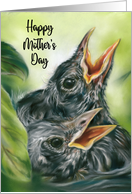 Mothers Day Robin Chicks in Nest Pastel Bird Art card