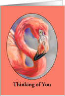 Thinking of You Flamingo Tropical Bird Art Profile Personalized card