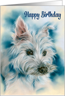 Happy Birthday White West Highland Terrier Dog Portrait card