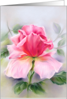 Any Occasion Pink Rose Soft Pastel Art Blank card