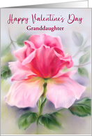 Valentine for Granddaughter Pink Rose Soft Pastel Art Custom card