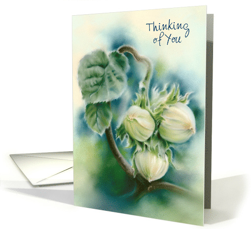 Thinking of You Green Filberts on Branch Botanical Art Custom card