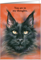 Thinking of You Black Maine Coon Cat Portrait Art Custom card