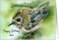 Birthday for Personalized Name Goldcrest Bird in Evergreen A card