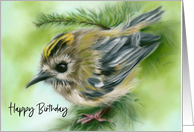 Happy Birthday Little Goldcrest Bird in Evergreen card