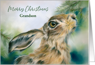 Christmas for Grandson Hare Wildlife in Winter Personalized card