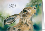 Thinking of You Hare Wildlife in Winter Personalized Blank Inside card