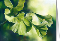 Any Occasion Sunlit Green Ginkgo Leaves Blank card