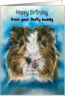 Birthday from Pet Tricolor Guinea Pig on Blue Custom card
