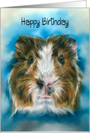 Happy Birthday Tricolor Guinea Pig on Blue card