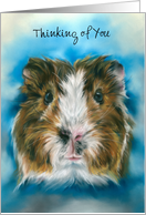 Thinking of You Tricolor Guinea Pig on Blue Custom Blank Inside card