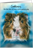 Sympathy for Loss of Pet Tricolor Guinea Pig on Blue Custom card