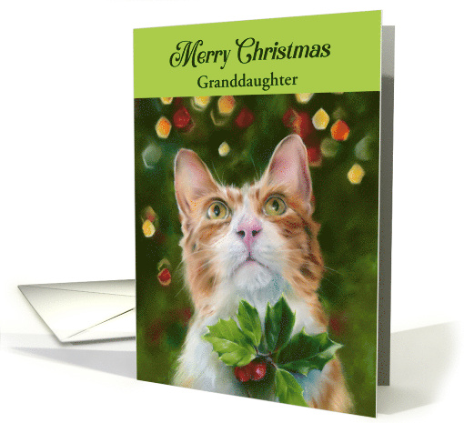For Granddaughter Ginger Cat Holly Merry Christmas Personalized card