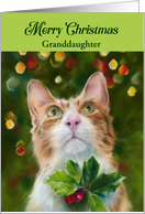 For Granddaughter Ginger Cat Holly Merry Christmas Personalized card